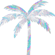 KOKONUT™️ Swimwear logo